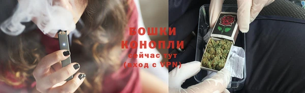 твердый Верхний Тагил
