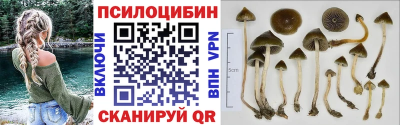 сайты даркнета состав  дарнет шоп  Лобня  Псилоцибиновые грибы Psilocybine cubensis 