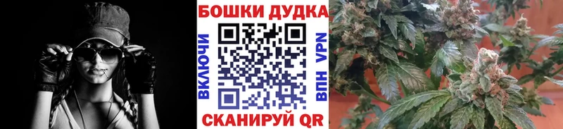 цена   Лобня  hydra ссылка  Конопля конопля 